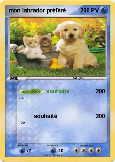Pokemon mon labrador préféré