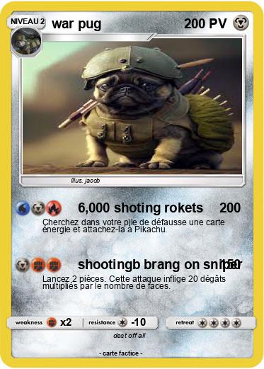 Pokemon war pug