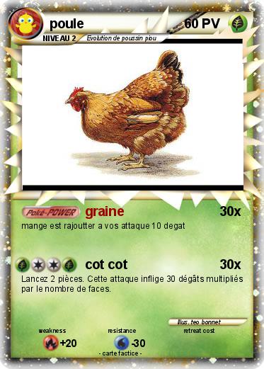 Pokemon poule