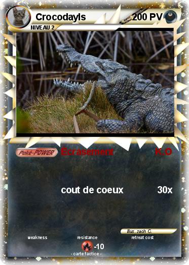 Pokemon Crocodayls