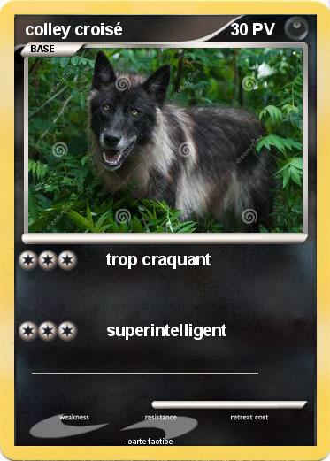 Pokemon colley croisé