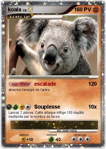 Pokemon koala