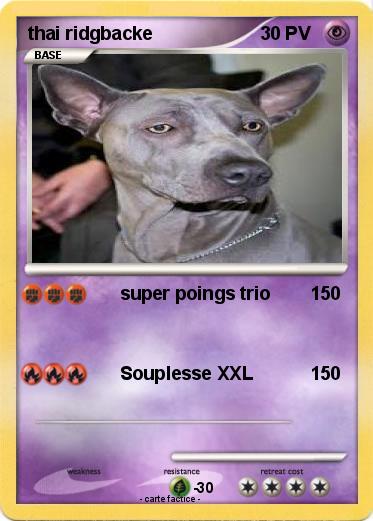 Pokemon thai ridgbacke
