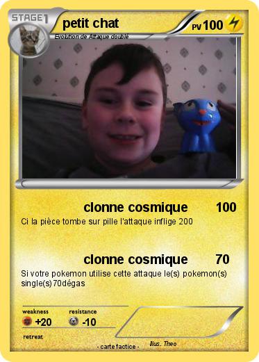 Pokemon petit chat