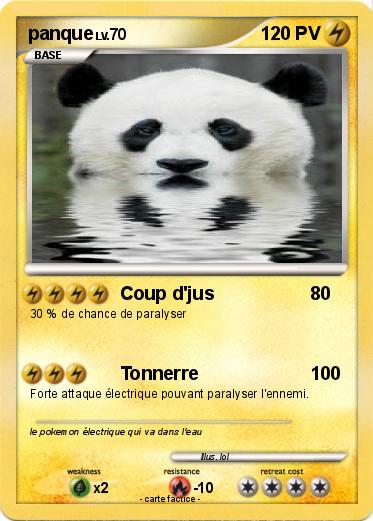 Pokemon panque