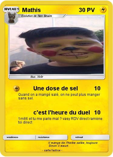 Pokemon Mathis