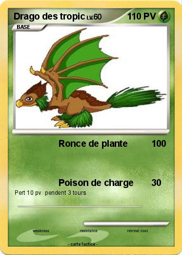 Pokemon Drago des tropic