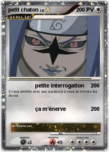 Pokemon petit chaton