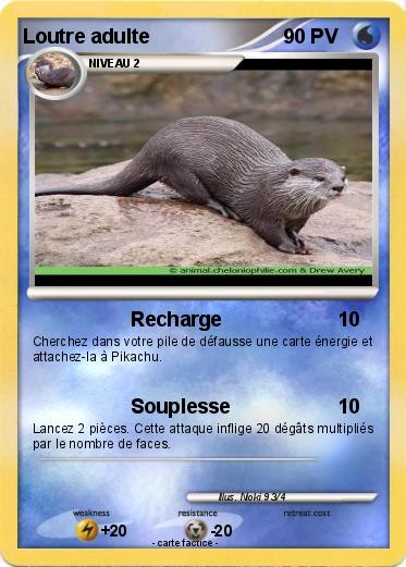 Pokemon Loutre adulte