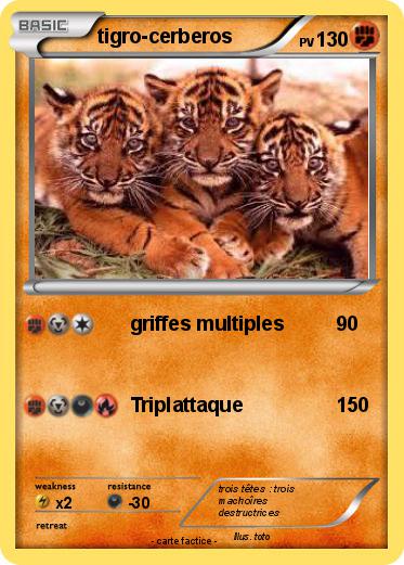 Pokemon tigro-cerberos