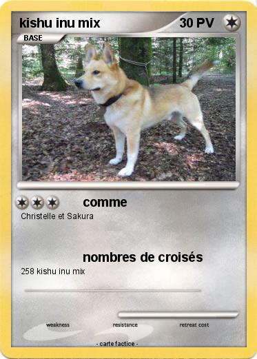 Pokemon kishu inu mix