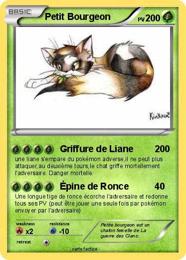 Pokemon Petit Bourgeon
