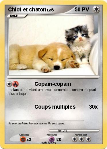 Pokemon Chiot et chaton