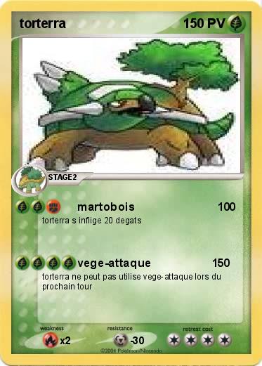 Pokemon torterra