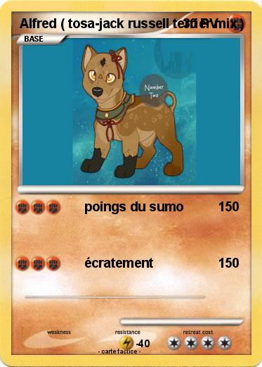 Pokemon Alfred ( tosa-jack russell terrier mix )