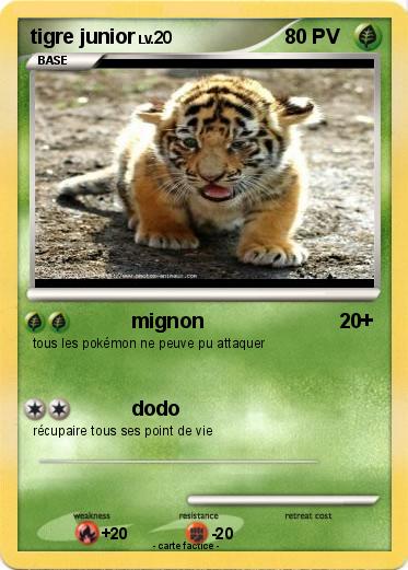 Pokemon tigre junior