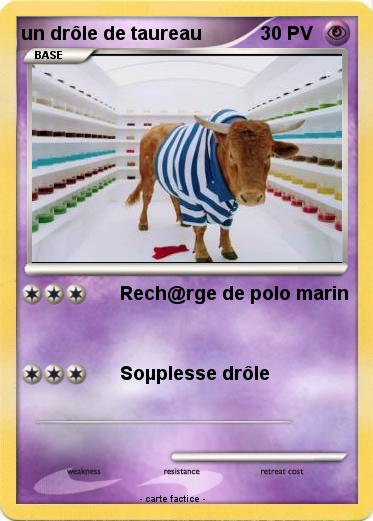 Pokemon un drôle de taureau