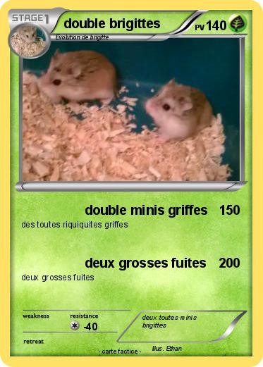 Pokemon double brigittes