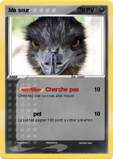 Pokemon Ma seur