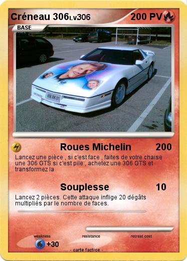 Pokemon Créneau 306
