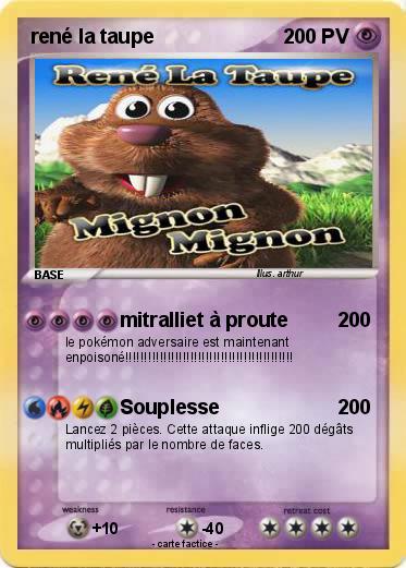 Pokemon rené la taupe