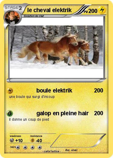 Pokemon le cheval elektrik
