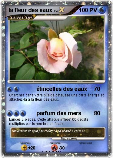 Pokemon la fleur des eaux