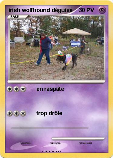 Pokemon irish wolfhound déguisé