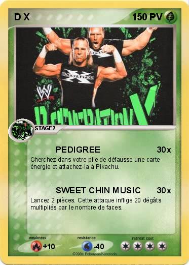Pokemon D X