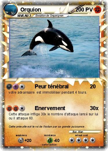 Pokemon Orquion