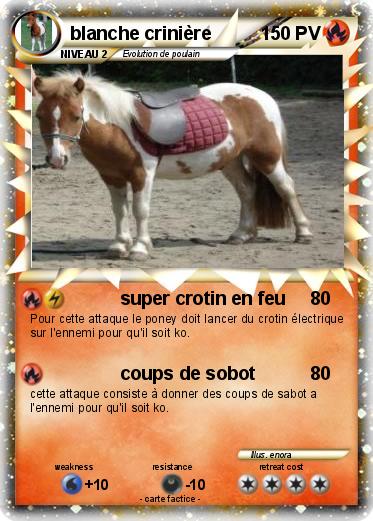 Pokemon blanche crinière