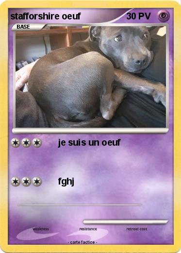 Pokemon stafforshire oeuf
