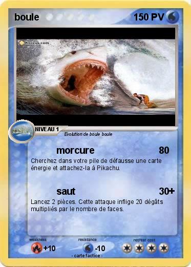 Pokemon boule