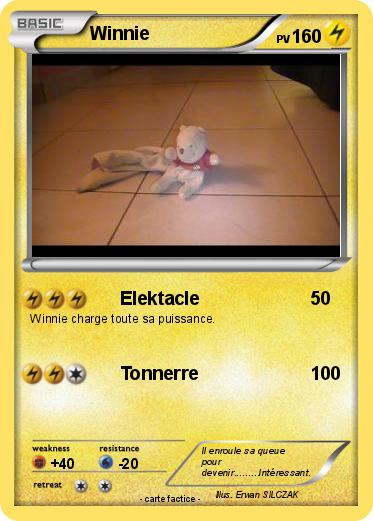 Pokemon Winnie