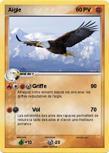 Pokemon Aigle