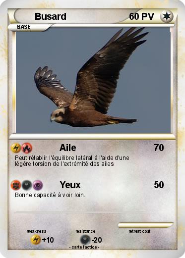Pokemon Busard