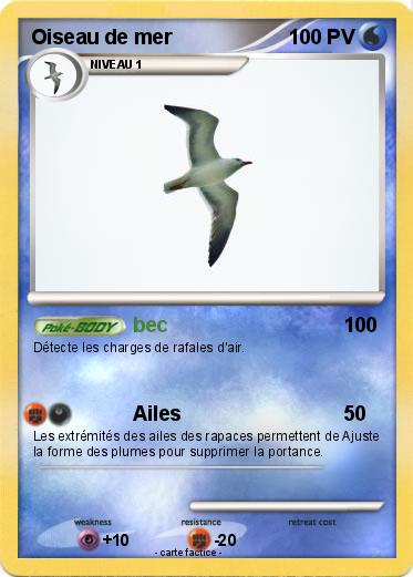 Pokemon Oiseau de mer