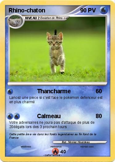 Pokemon Rhino-chaton
