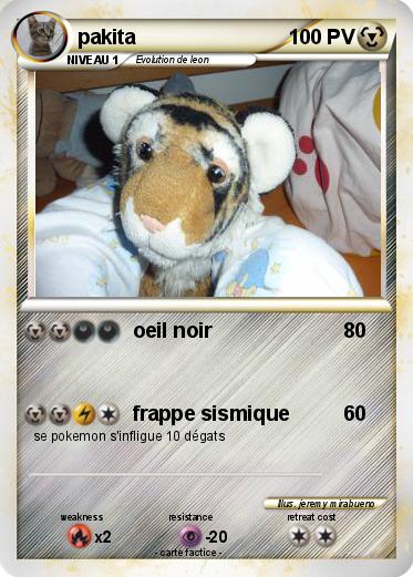 Pokemon pakita