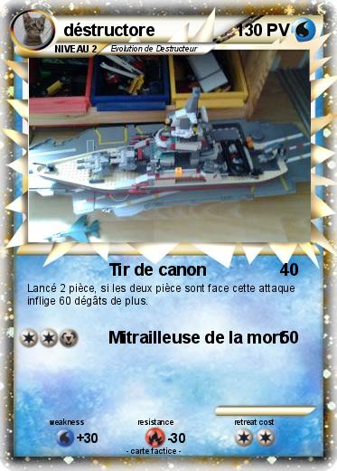 Pokemon déstructore