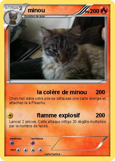 Pokemon minou