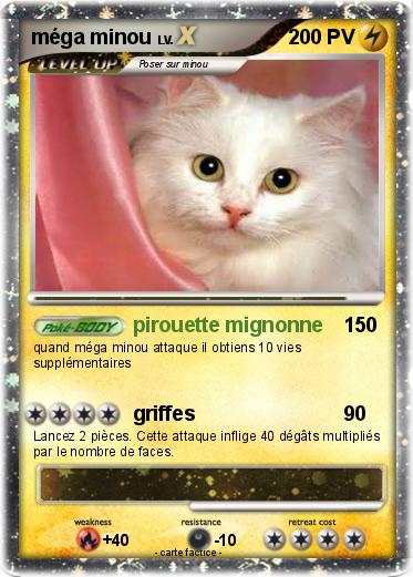 Pokemon méga minou