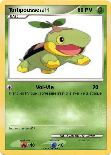 Pokemon Tortipousse
