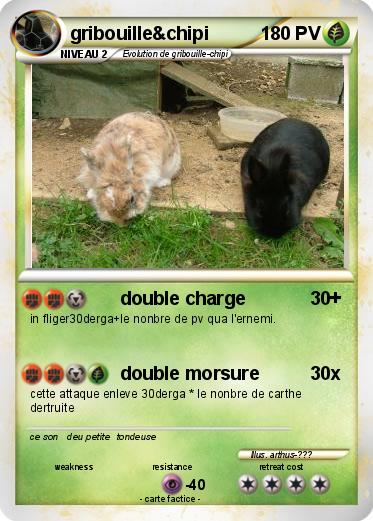 Pokemon gribouille&chipi