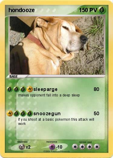 Pokemon hondooze