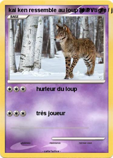 Pokemon kai ken ressemble au loup gris / tigre / jaguar / guèpard et léopard