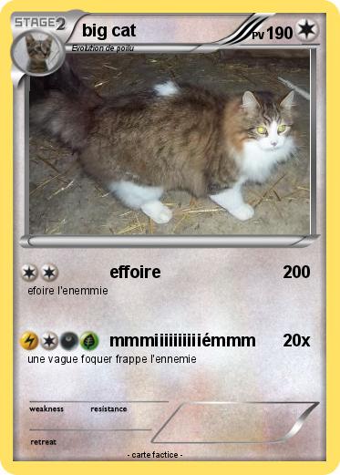 Pokemon big cat