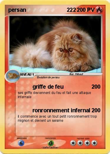 Pokemon persan                           222