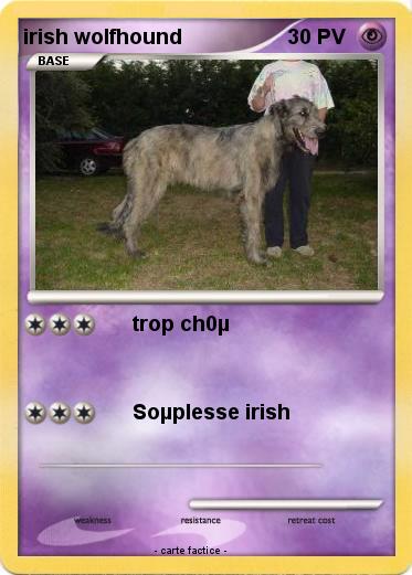 Pokemon irish wolfhound