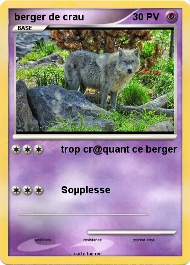 Pokemon berger de crau